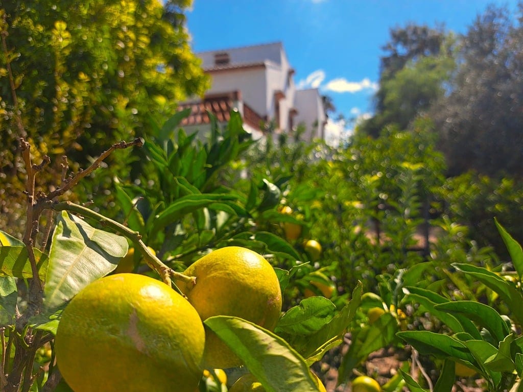 Family villa with pool for sale in Orba - Foto 54