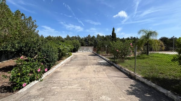 Rustikale Finca zu verkaufen mit Pool, 6 Schlafzimmern und 10.000 m² Grundstück zwischen La Xara und La Sella (Dénia) - Foto 8