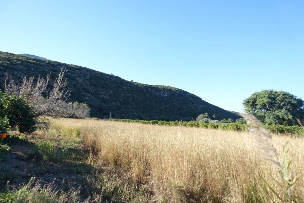 Plot in Els Verger - Foto 5