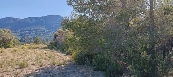 Rustikales Grundstück von 16.845 m² zwischen Benissa und Calpe mit Meerblick - Foto 4