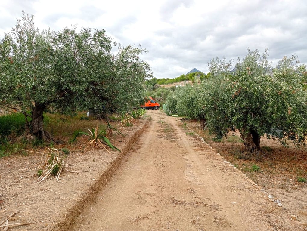 Property #RH20408 - Foto 5