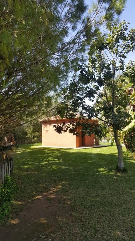 Ondara. Spacious finca for sale - Foto 13