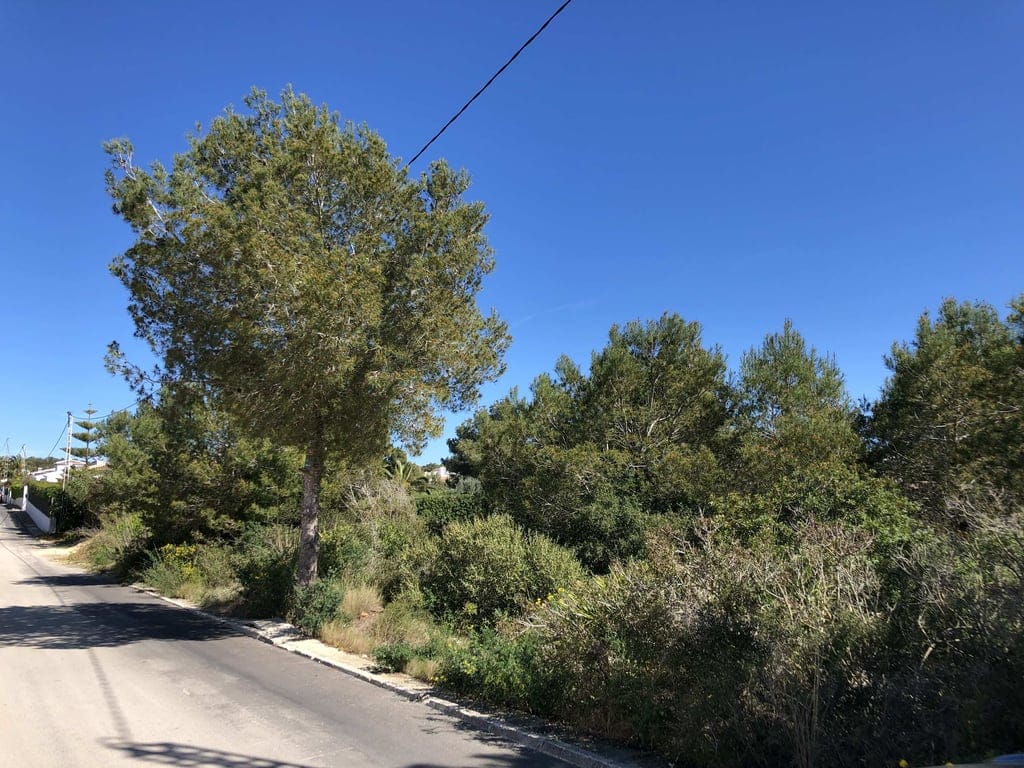 2 building plots Costa Nova - Foto 4