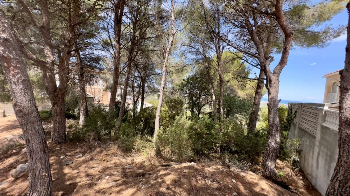 Urban plot with views in Oliva - Foto 3