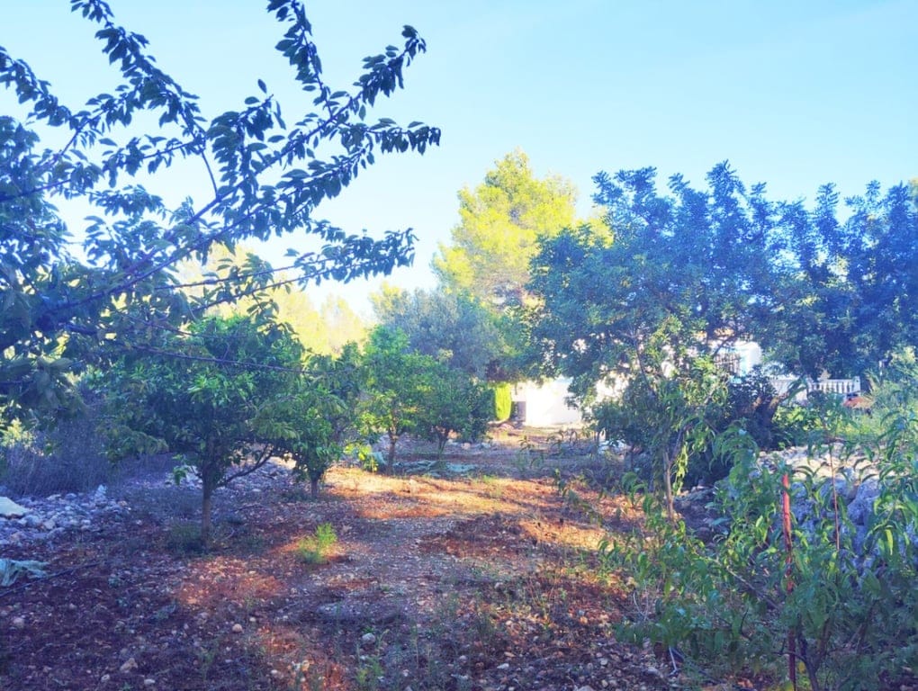 Renovated country house in Parcent: tranquility, fenced plot, nature, and comfort in a privileged setting. - Foto 28