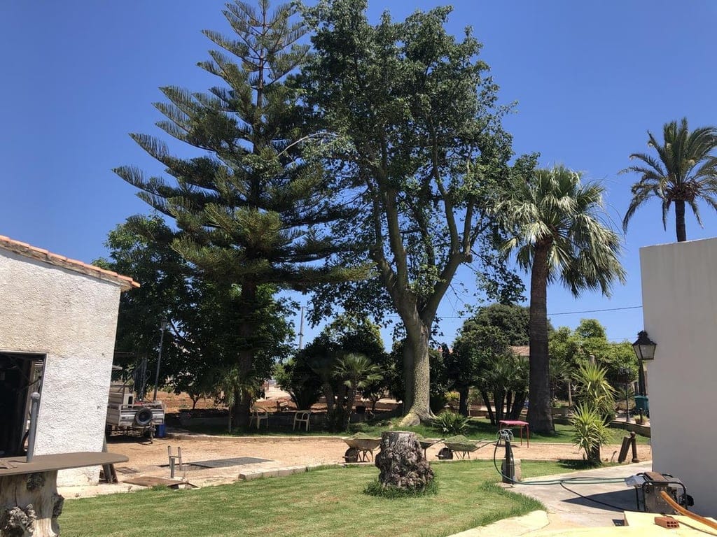 Ondara. Spacious cottage with swimming pool for sale - Foto 8