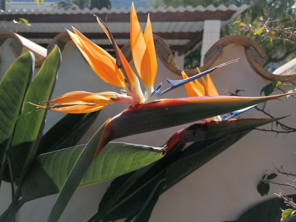 Villa mit Blick auf das Meer und den Montgomery in Denia - Foto 69