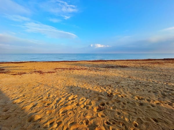 ¡Oportunitat Única! Villa Primera Línea de Mar, Sense Llei de Costes a Platja Blay Beach (Dénia) - Inversió Exclusiva - Foto 2