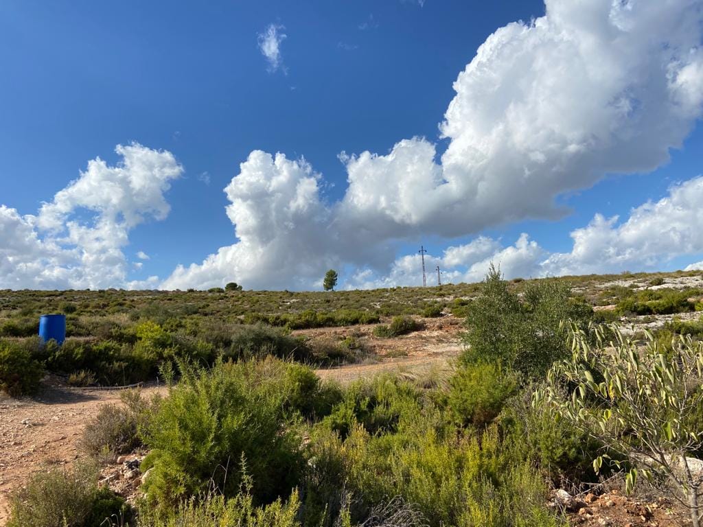 Land/Hunting Ground for Sale in Bocairente - Foto 18