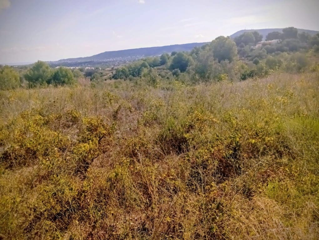 Large rustic land for sale in Benitachell. - Foto 3