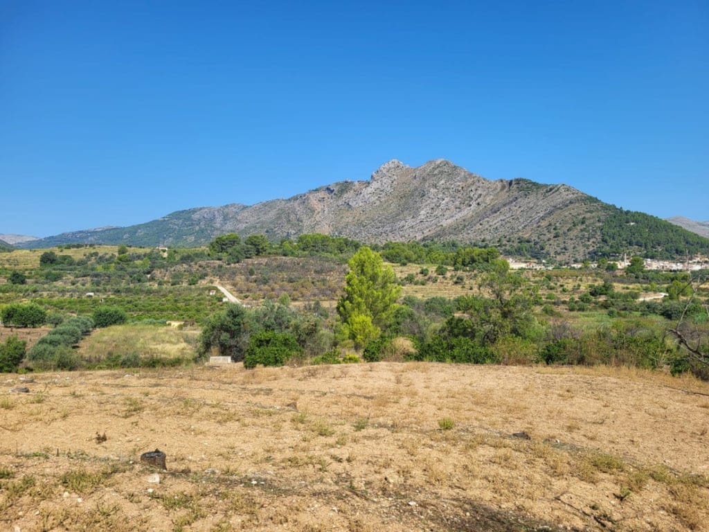 Attractive 15,000m2 plot for sale with electricity and natural water well.
