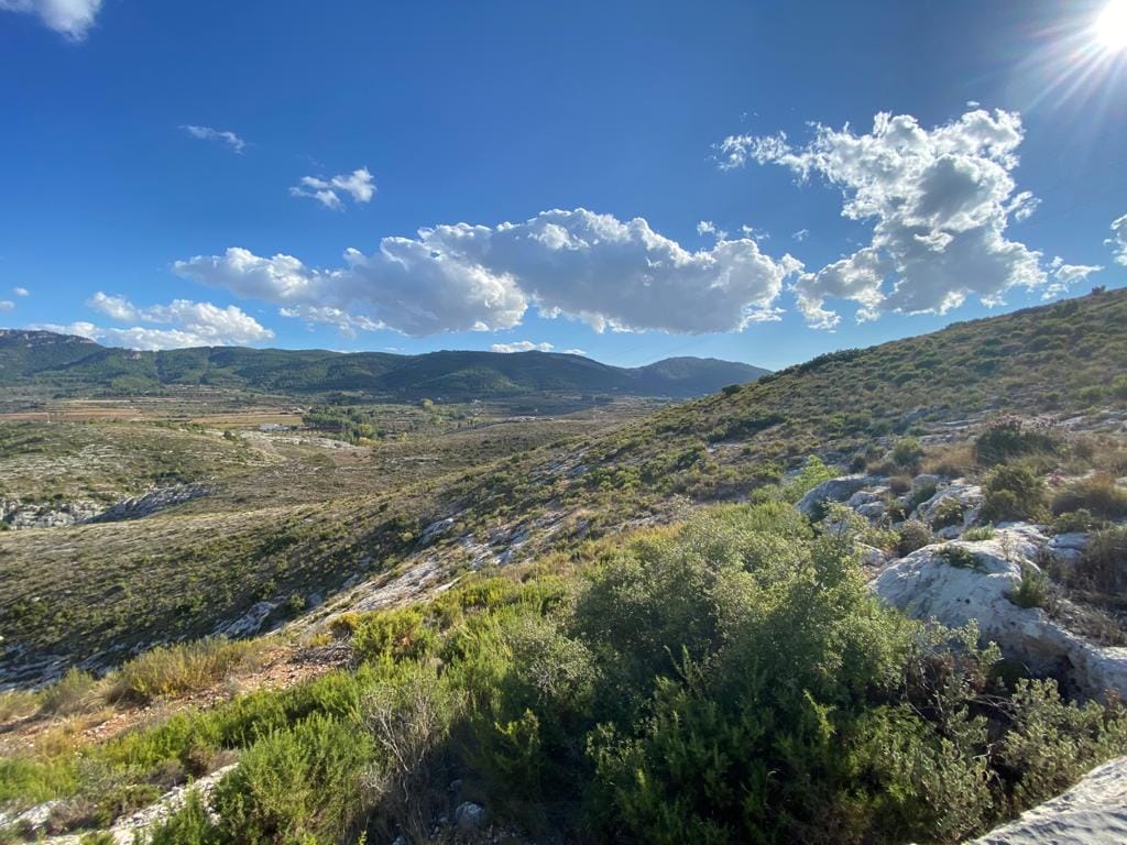 Land/Hunting Ground for Sale in Bocairente - Foto 11