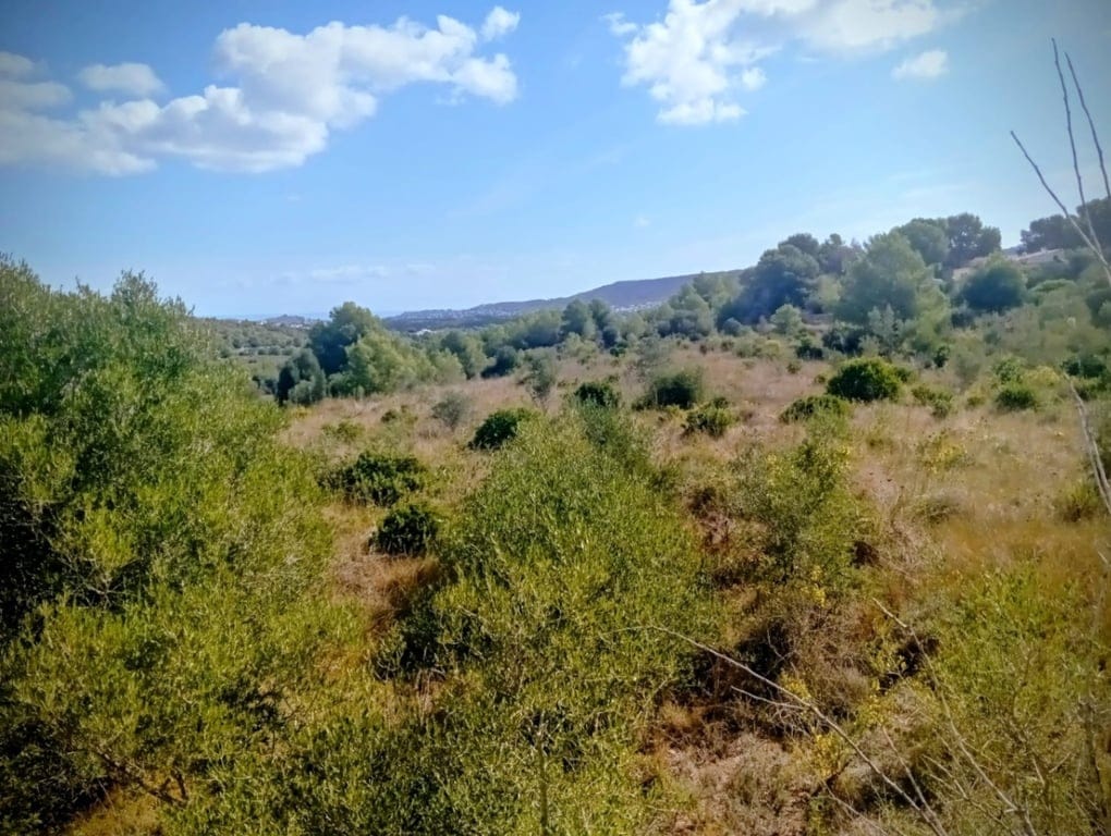 Large rustic land for sale in Benitachell.