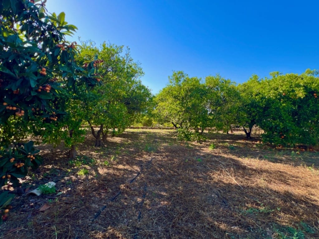 4-bedroom country house in Pedreguer - Foto 5