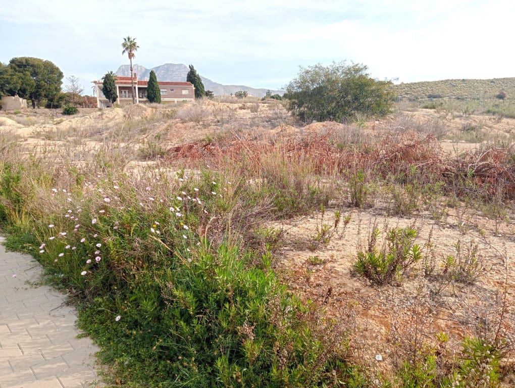 Property #RH20325 - Foto 10