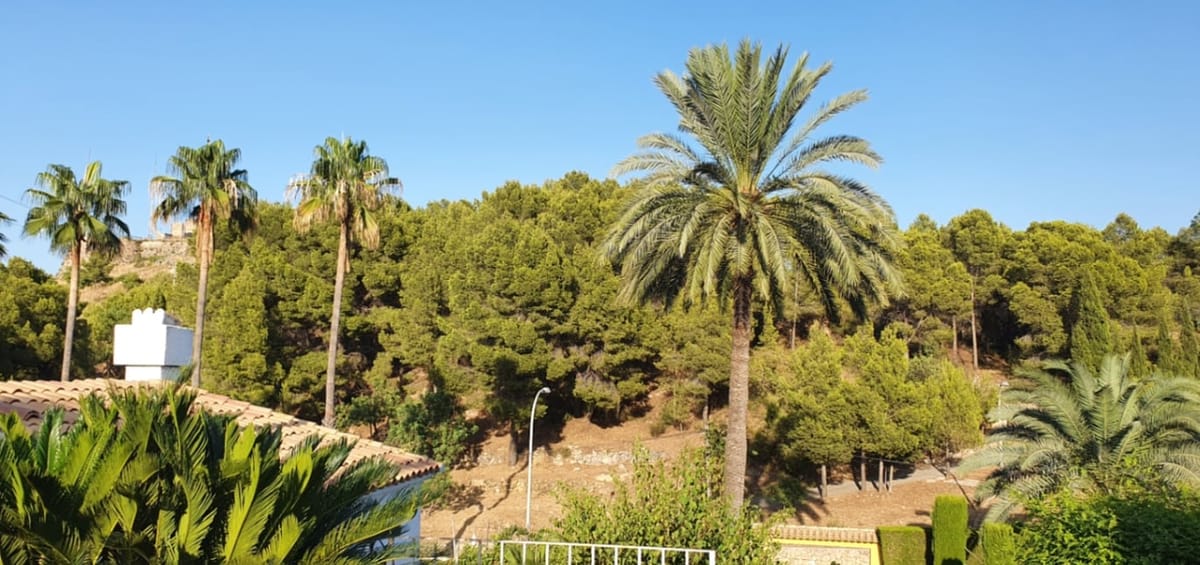 Chalet with 4 Bedrooms in Oliva Pueblo - Foto 4