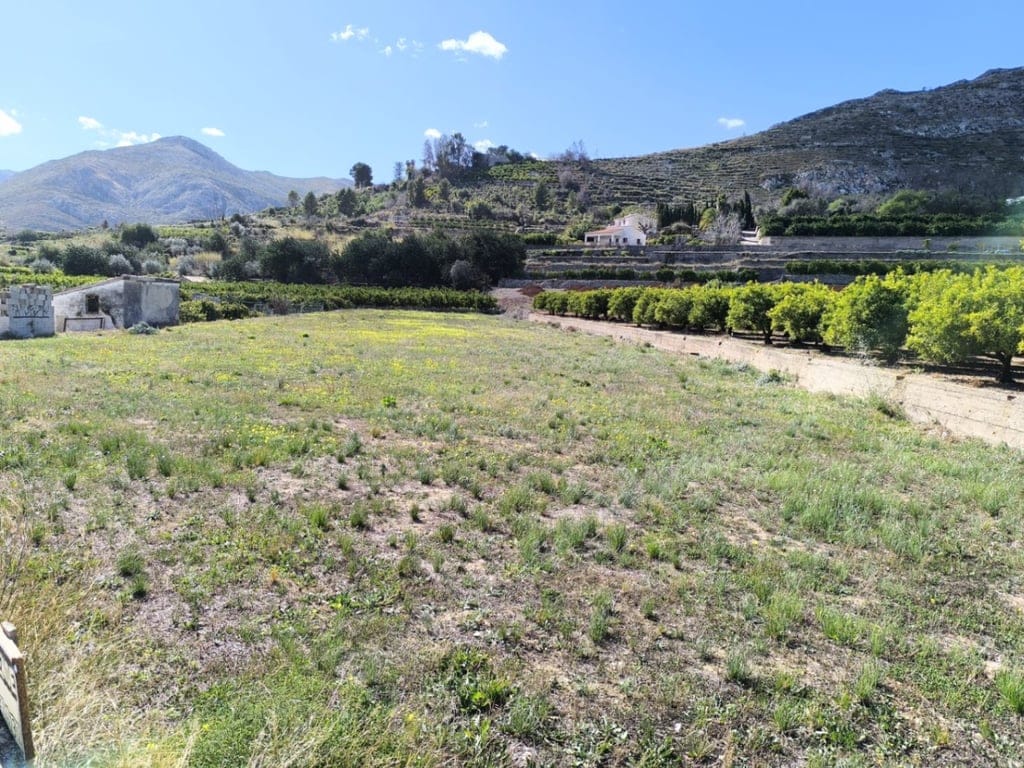 Rustic land for sale in Pego - Foto 4