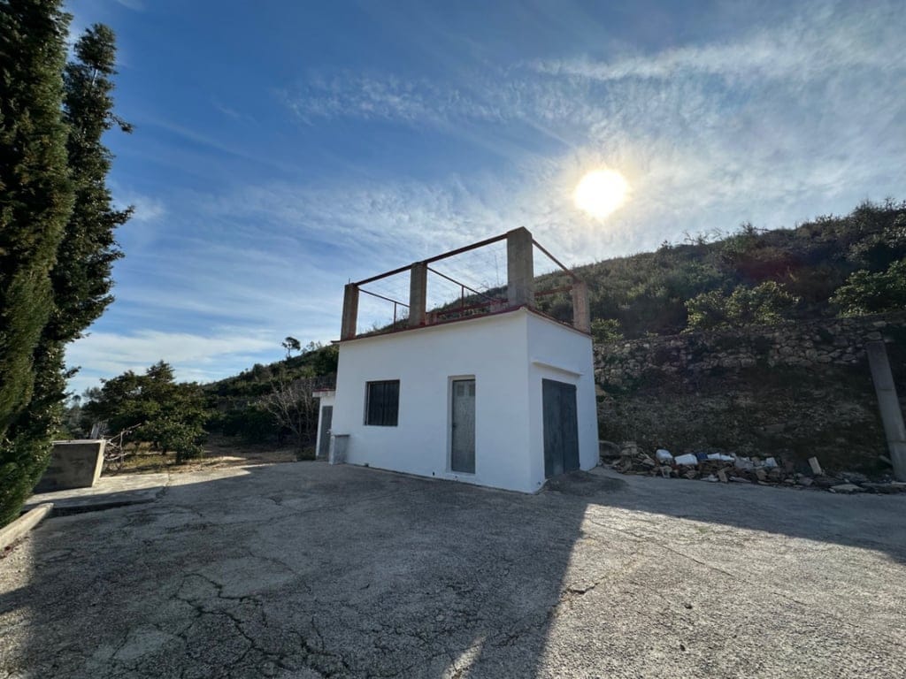 Große Orangenplantage mit Meerblick und Möglichkeit zur Errichtung eines Wohnhauses - Foto 6