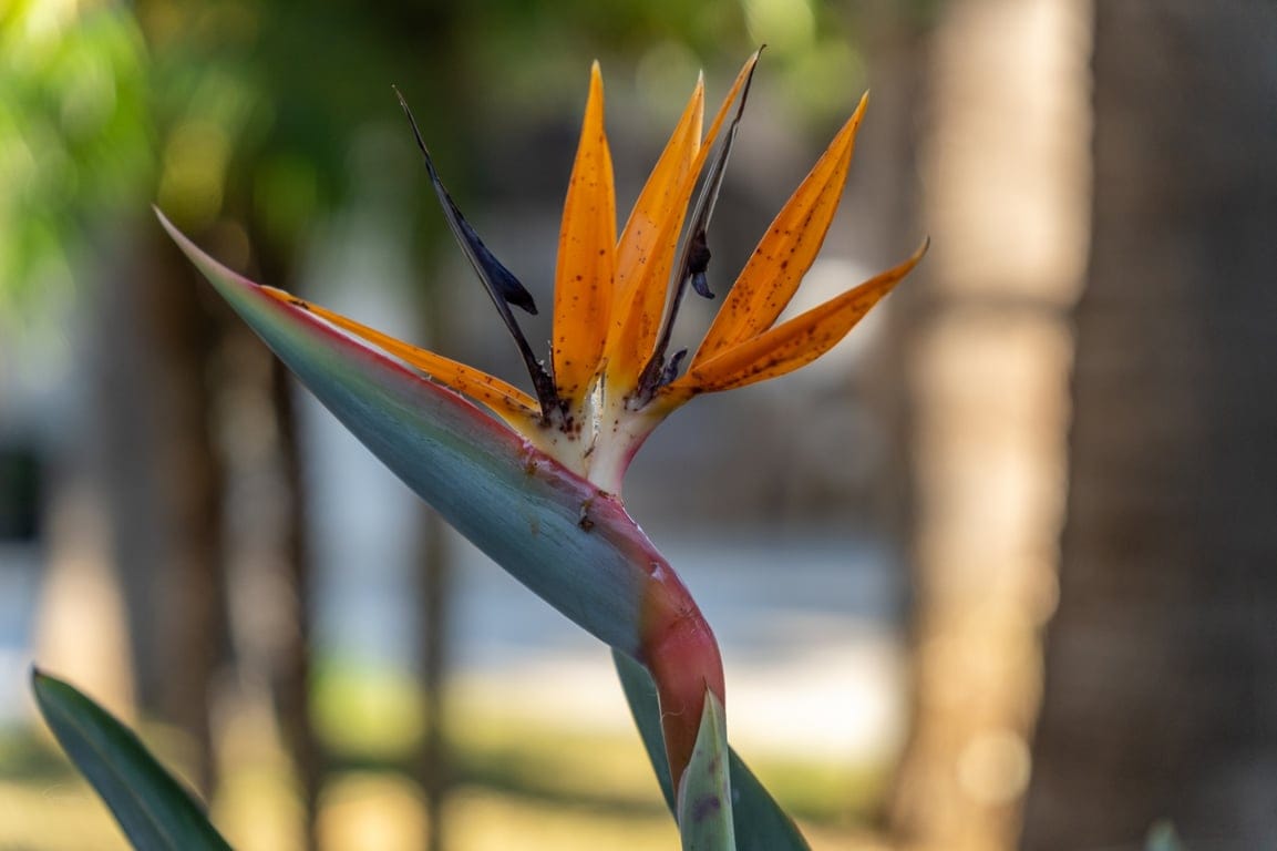 Exclusives, komplett renoviertes Anwesen mit großem Grundstück von 11.367 m2. - Foto 46