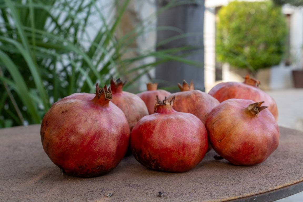 Villa met gastenappartement, volledig gerenoveerd en dicht bij het oude centrum van Jávea - Foto 42