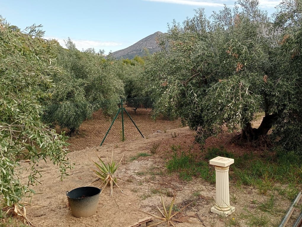 Property #RH20408 - Foto 4