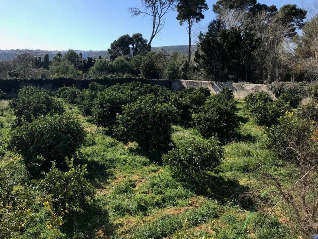 Villas for sale in DENIA with large plot of land - Foto 15