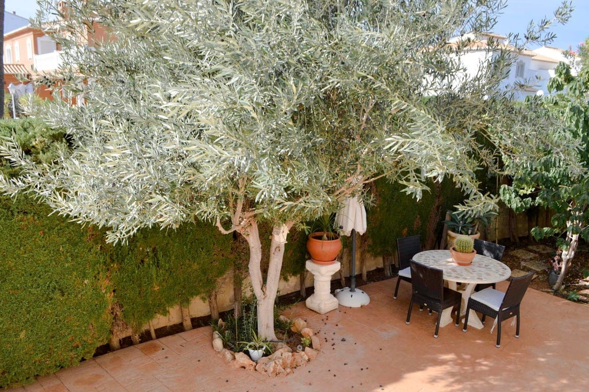 4 bedroom villa in Las Marinas, in the area of Las Brisas - Foto 37