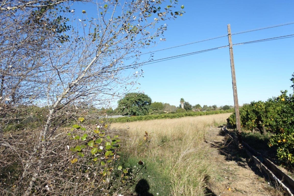 Plot in Els Verger - Foto 2