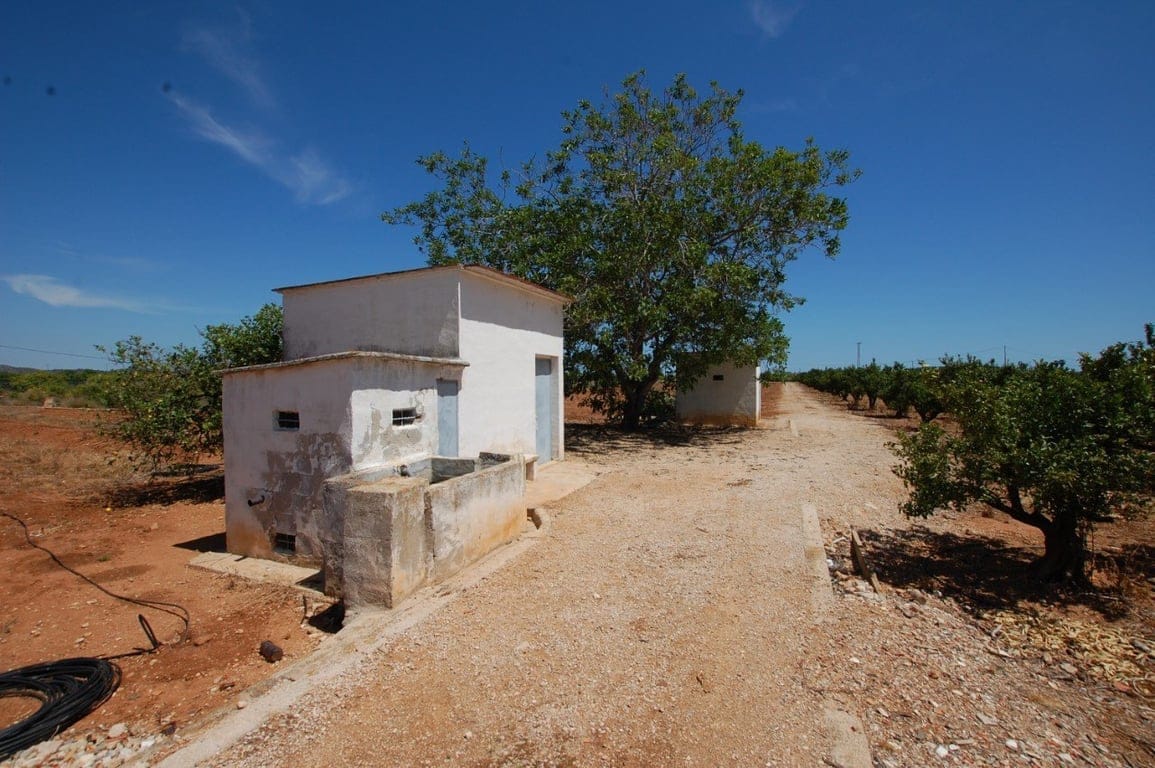 22.000 Quadratmeter großes rustikales Grundstück in Pego - Foto 5