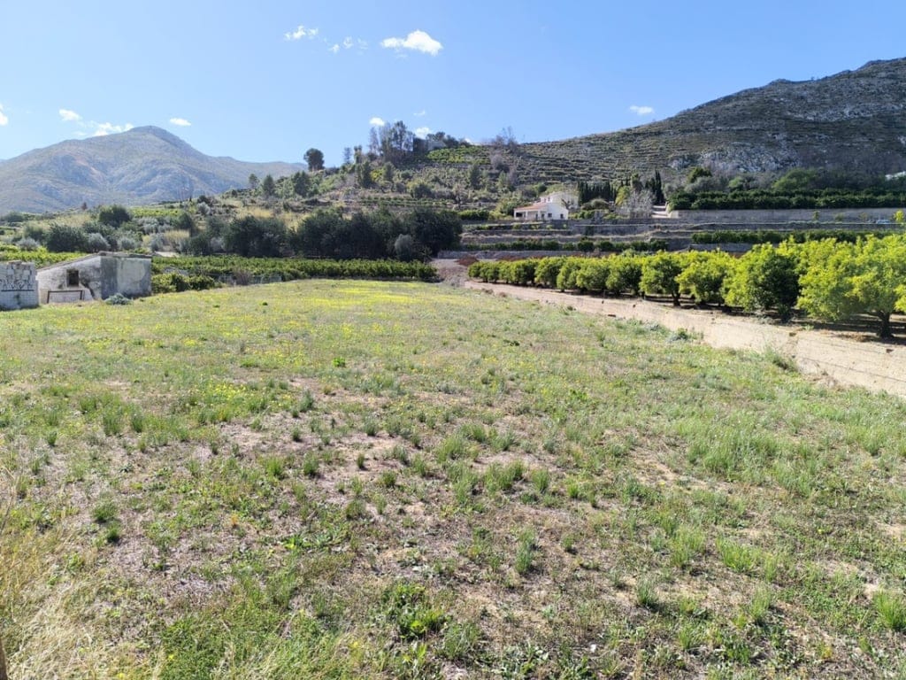 Rustic land for sale in Pego - Foto 5