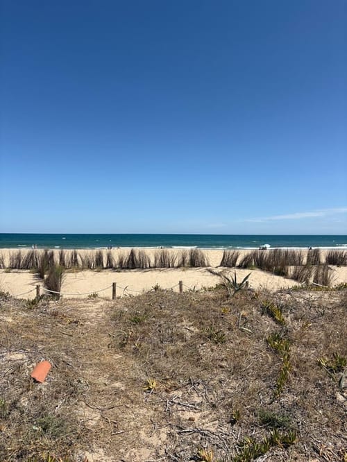 TOWNHOUSE FRONT LINE