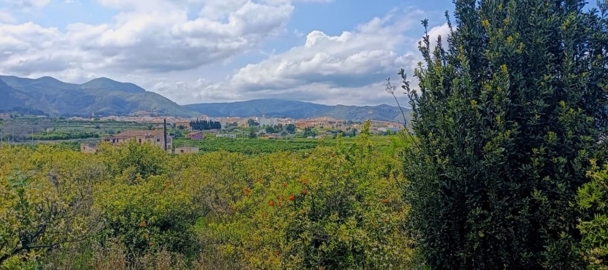 Baugrundstück in Pego, geeignet für den Bau mit Strom- und Wasseranschluss.