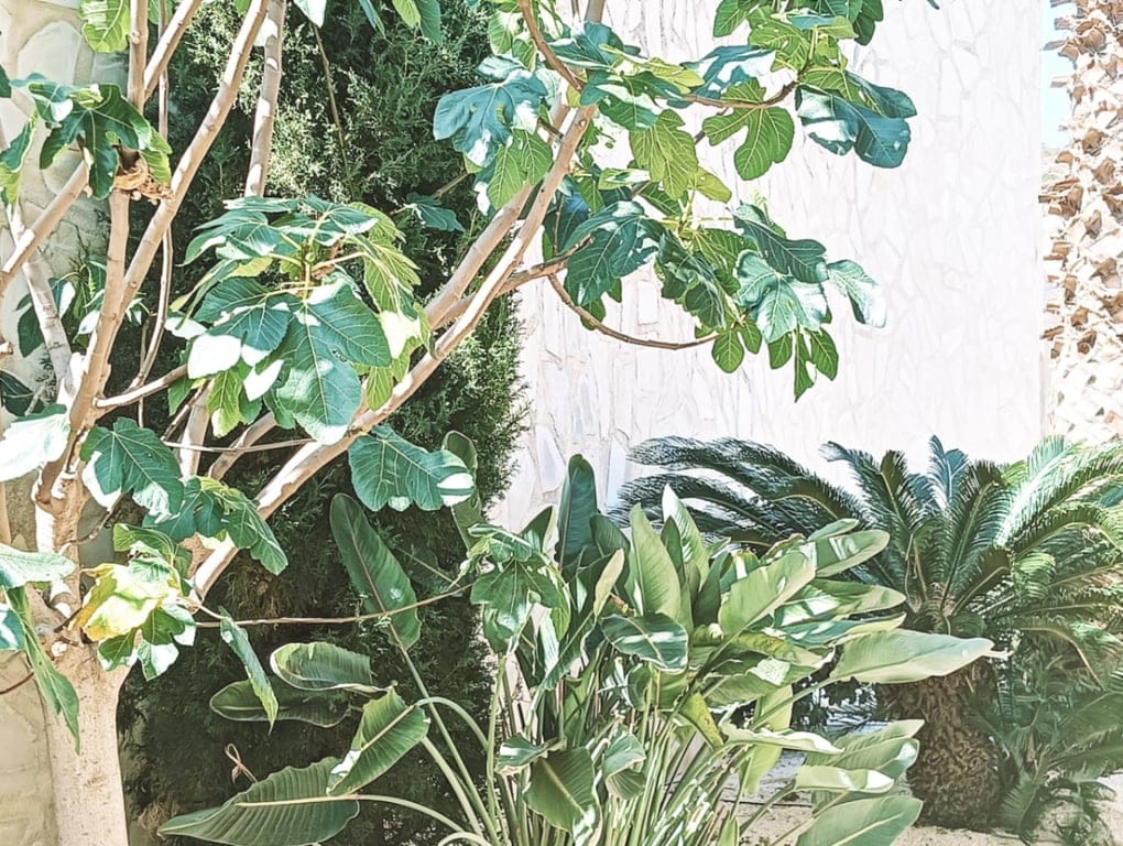 Wspaniała willa z panoramicznym widokiem na morze i całe wybrzeże Costa Blanca - Foto 24