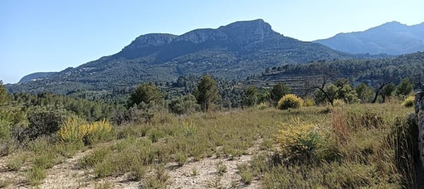 Rustikales Grundstück von 16.845 m² zwischen Benissa und Calpe mit Meerblick - Foto 3