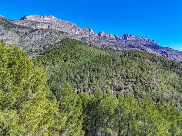 Parcela en venta en Callosa d'en Sarrià - Foto 8
