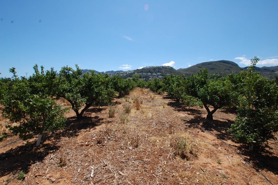 22.000 Quadratmeter großes rustikales Grundstück in Pego - Foto 6