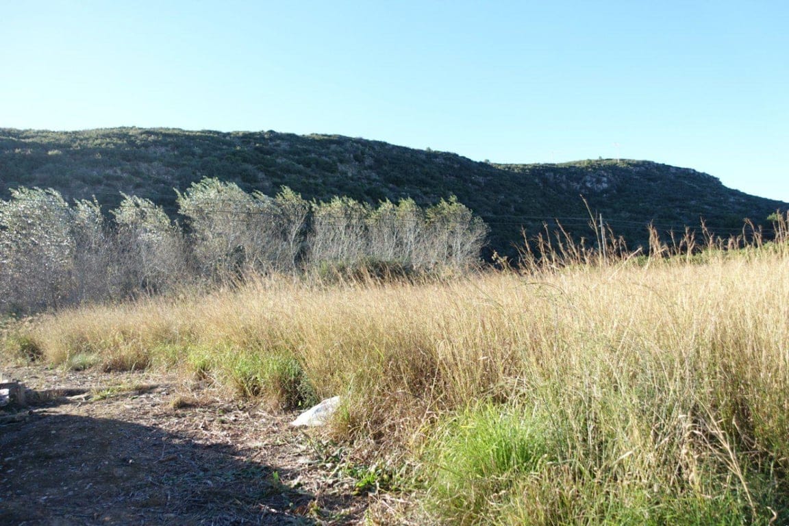 Plot in Els Verger - Foto 4