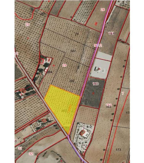 New Build Turnkey Villa in Pinoso – Exclusivity, Space, and Comfort in the Heart of Nature - Foto 28