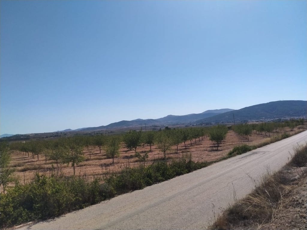 New Build Turnkey Villa in Pinoso – Exclusivity, Space, and Comfort in the Heart of Nature - Foto 32