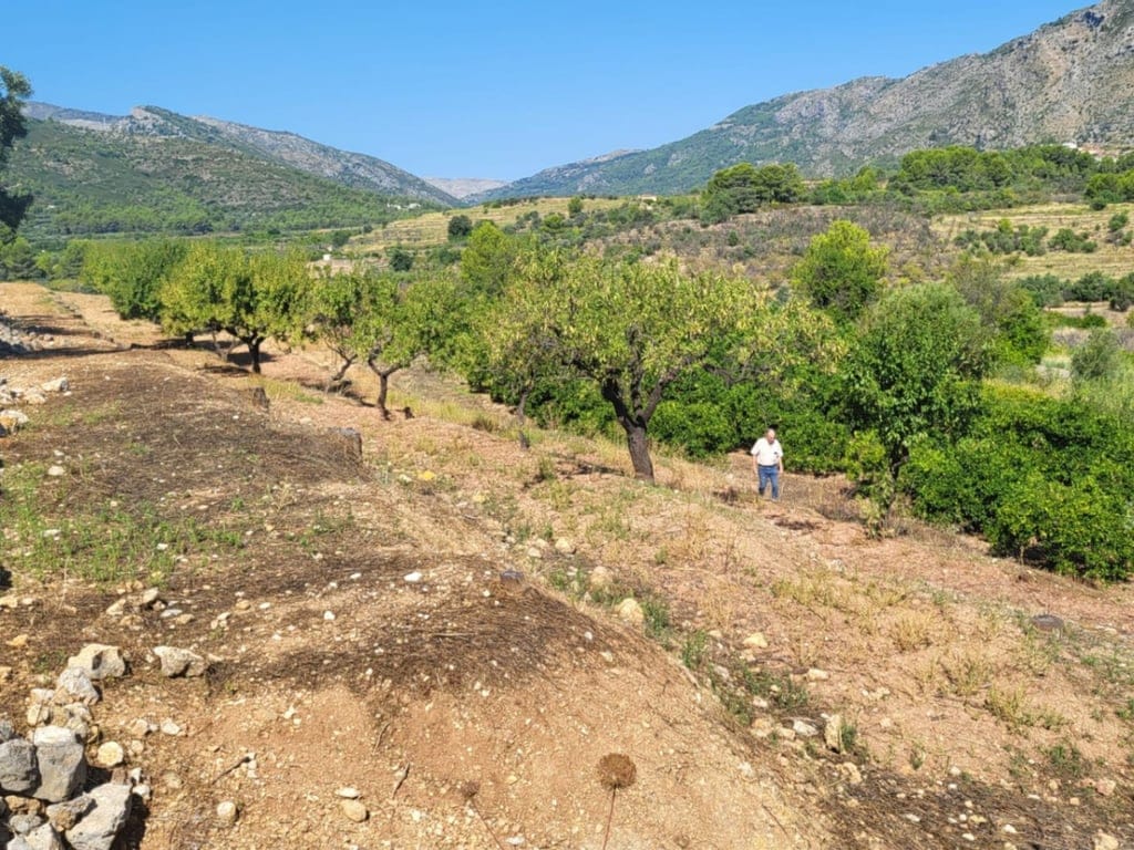 Attractive 15,000m2 plot for sale with electricity and natural water well. - Foto 9