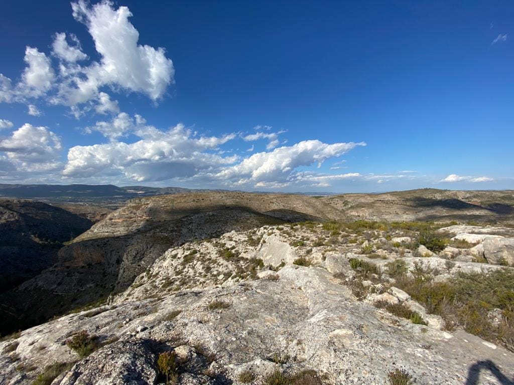 Land/Hunting Ground for Sale in Bocairente - Foto 4