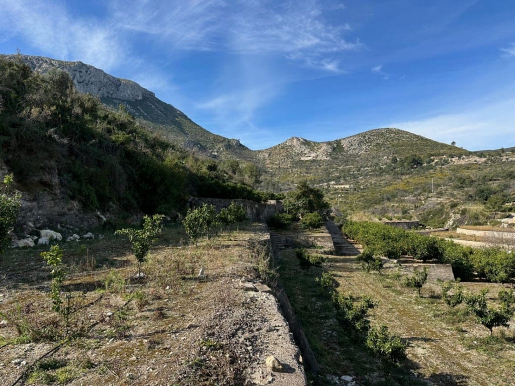 Große Orangenplantage mit Meerblick und Möglichkeit zur Errichtung eines Wohnhauses - Foto 8