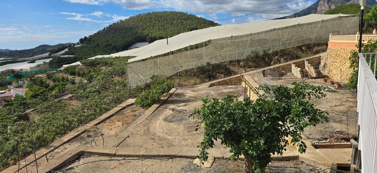 Property #RH20426 - Foto 7