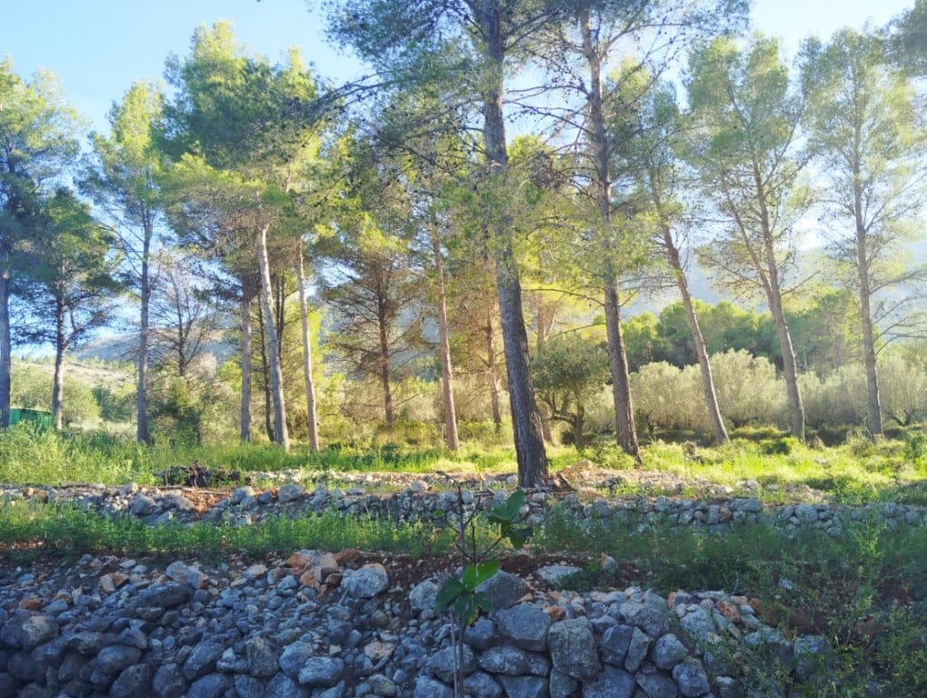 Renovated country house in Parcent: tranquility, fenced plot, nature, and comfort in a privileged setting. - Foto 5