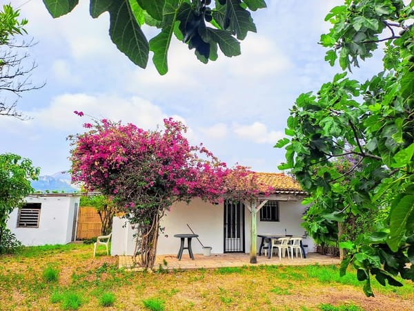 House for sale in Pego - Foto 2