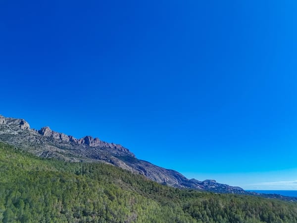 Parcela en venta en Callosa d'en Sarrià - Foto 9