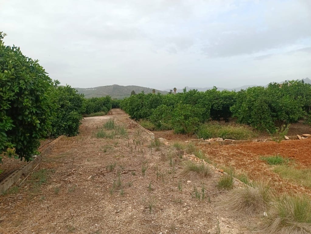 Property #RH20350 - Foto 2