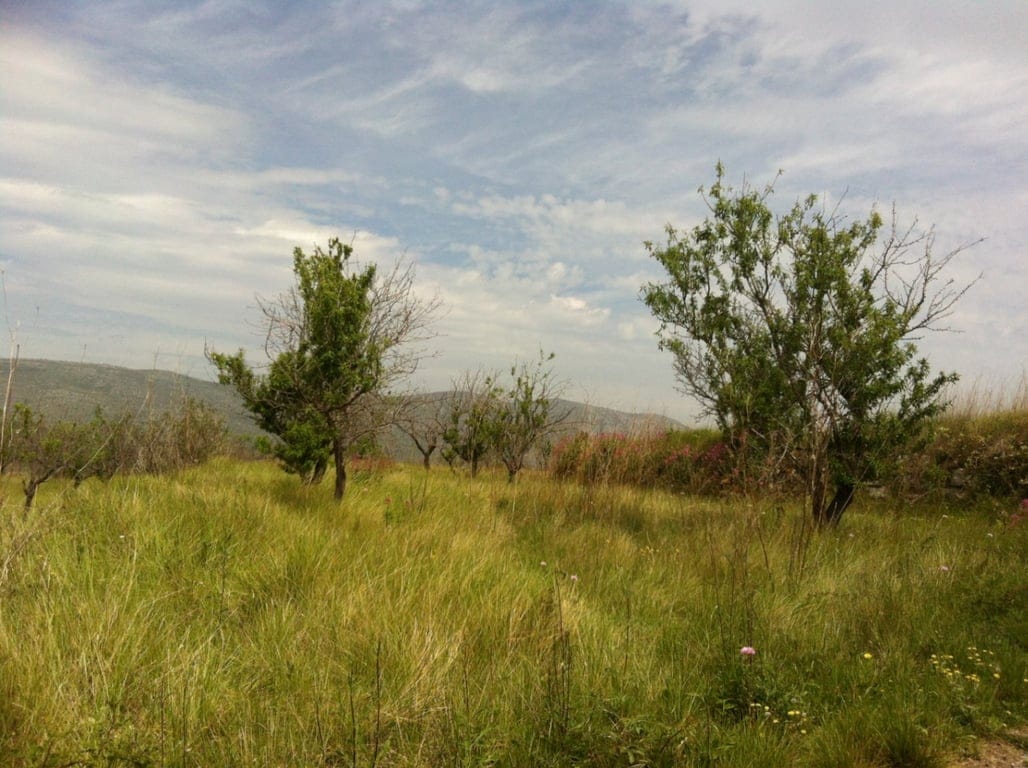 Rustic plot with nice views for sale in Benissa - Foto 5