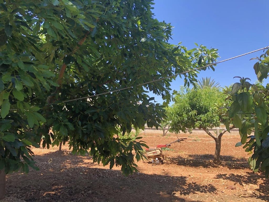 Ondara. Spacious cottage with swimming pool for sale - Foto 21