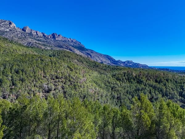 Parcela en venta en Callosa d'en Sarrià - Foto 8
